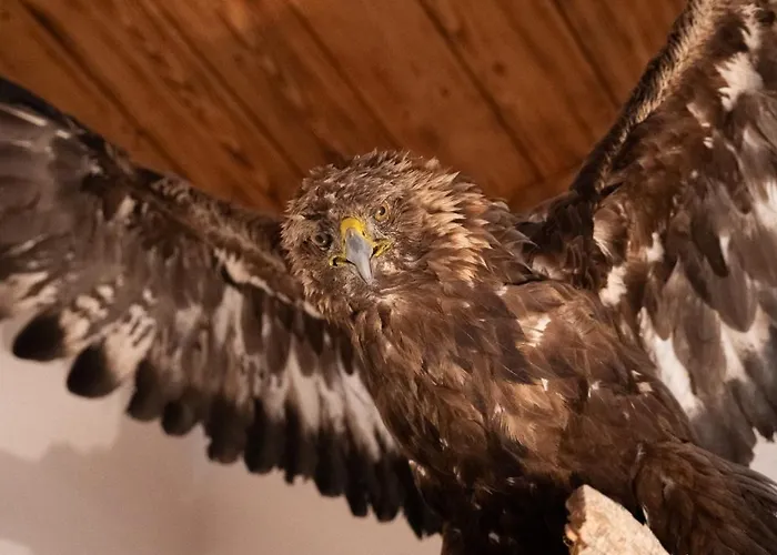 Haus Forellenhof 홈스테이 이스크글